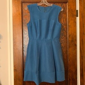 J Crew fit and flare dress
